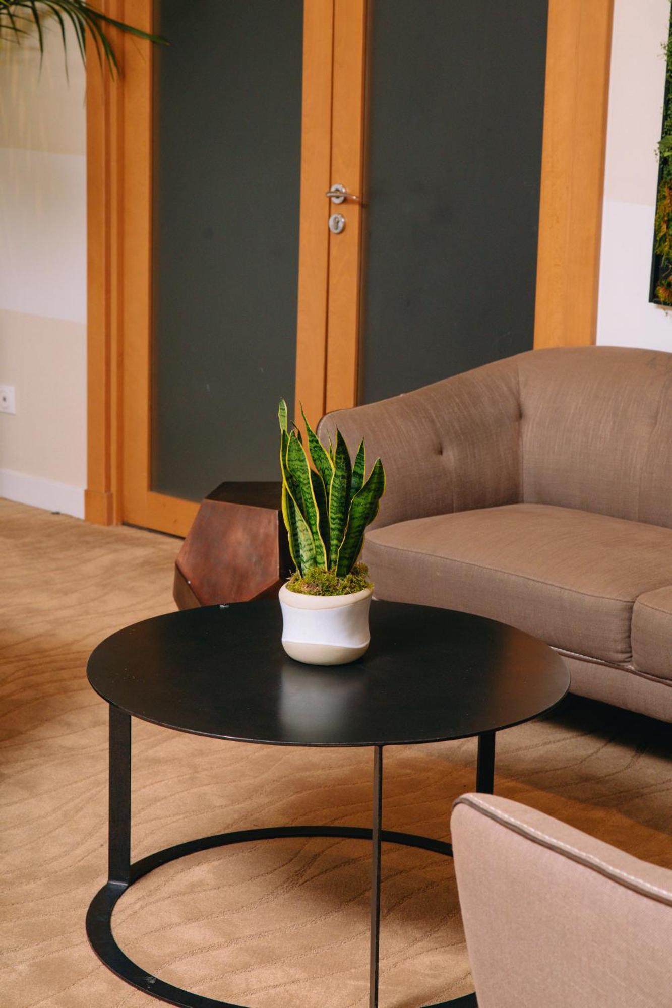 Fraser Suites Paris La Defense กูร์เบอวัวร์ ภายนอก รูปภาพ Sansevieria trifasciata